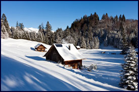cozy cabin home